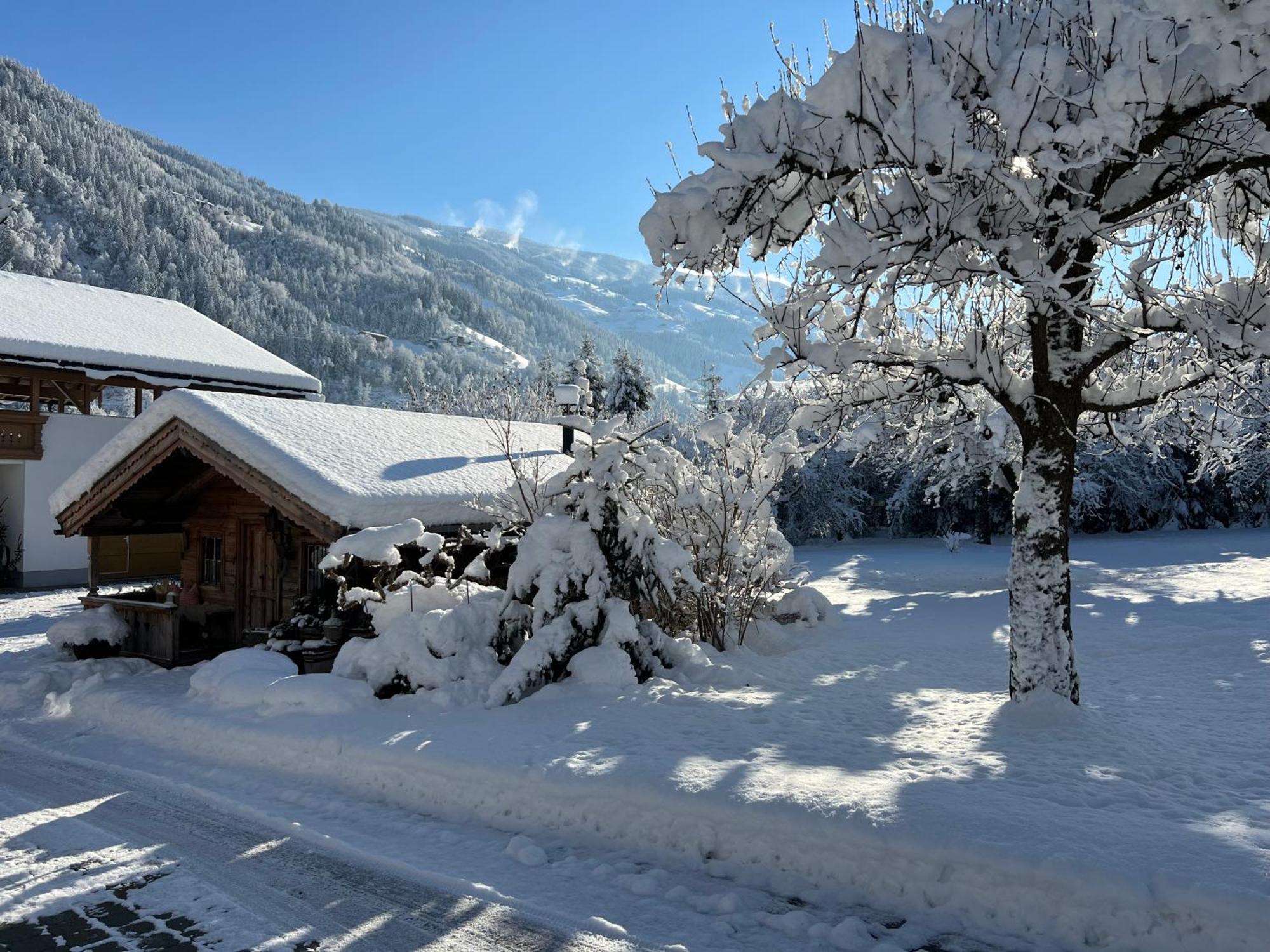 Martlerhof Apartment Aschau Im Zillertal Luaran gambar