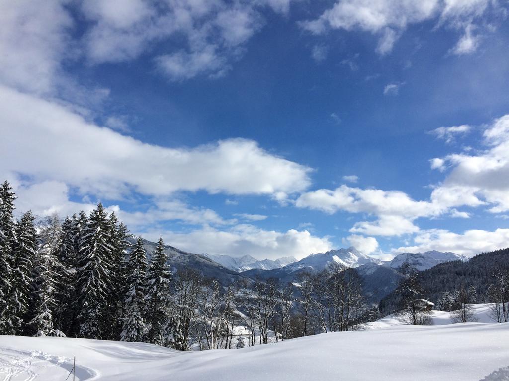 Martlerhof Apartment Aschau Im Zillertal Luaran gambar